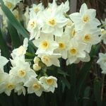 スイレン（厨房）